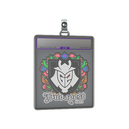 Sticker Slab | G2 esports (Embroidered) | Budapest 2025