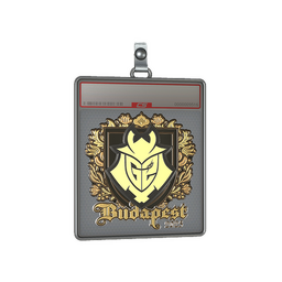 Sticker Slab | G2 esports (Gold) | Budapest 2025