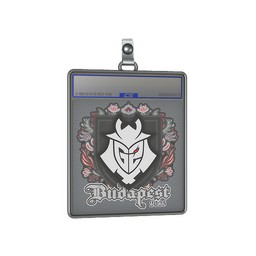 Sticker Slab | G2 esports | Budapest 2025