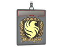 Sticker Slab | Falcons (Gold) | Budapest 2025