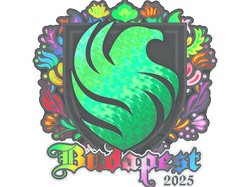 Sticker | Falcons (Holo) | Budapest 2025