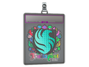 Sticker Slab | Falcons (Holo) | Budapest 2025