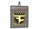 Sticker Slab | FaZe Clan (Gold) | Budapest 2025