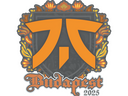 Sticker | fnatic | Budapest 2025