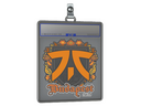 Sticker Slab | fnatic | Budapest 2025