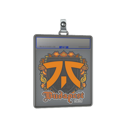 Sticker Slab | fnatic | Budapest 2025