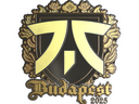 Sticker | fnatic (Gold) | Budapest 2025