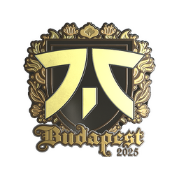 fnatic (Gold) | Budapest 2025