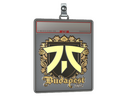 Sticker Slab | fnatic (Gold) | Budapest 2025