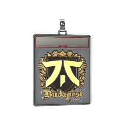 Sticker Slab | fnatic (Gold) | Budapest 2025
