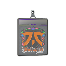 Sticker Slab | fnatic (Embroidered) | Budapest 2025