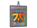 Sticker Slab | fnatic (Holo) | Budapest 2025
