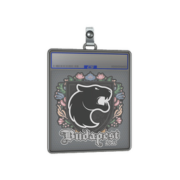 Sticker Slab | FURIA | Budapest 2025