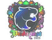 Sticker | FURIA (Holo) | Budapest 2025