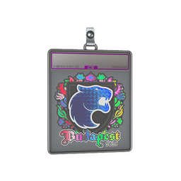 Sticker Slab | FURIA (Holo) | Budapest 2025