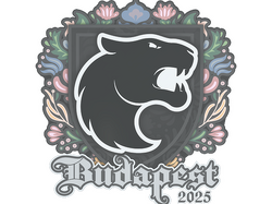 Sticker | FURIA | Budapest 2025