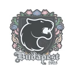 FURIA | Budapest 2025
