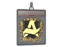 Sticker Slab | Aurora (Gold) | Budapest 2025