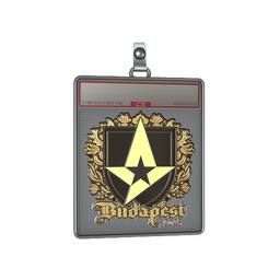 Sticker Slab | Astralis (Gold) | Budapest 2025