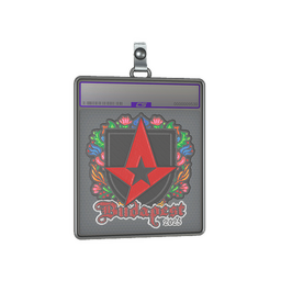 Sticker Slab | Astralis (Embroidered) | Budapest 2025
