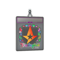 Sticker Slab | Astralis (Holo) | Budapest 2025