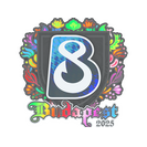 Sticker | B8 (Holo) | Budapest 2025
