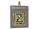 Sticker Slab | The Huns (Gold) | Budapest 2025