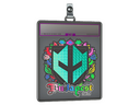 Sticker Slab | Imperial Esports (Holo) | Budapest 2025
