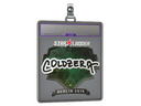 Sticker Slab | coldzera (Foil) | Berlin 2019