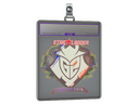Sticker Slab | G2 Esports (Holo) | Berlin 2019
