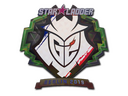 Sticker | G2 Esports (Holo) | Berlin 2019