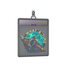 Sticker Slab | Wingsuit (Holo)