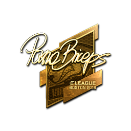 pashaBiceps (Gold) | Boston 2018