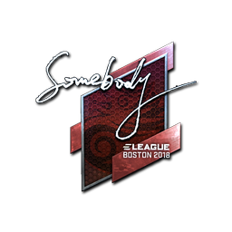 somebody (металлическая) | Бостон-2018