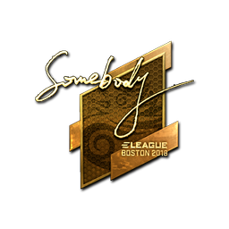 somebody (Gold) | Boston 2018