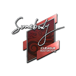 somebody | Бостон-2018