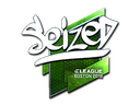 Sticker | seized (Foil) | Boston 2018