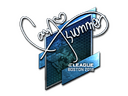 Sticker | Summer (Foil) | Boston 2018