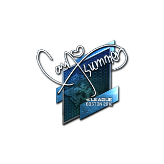 Sticker | Summer (Foil) | Boston 2018