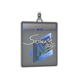 Sticker Slab | ScreaM | Boston 2018
