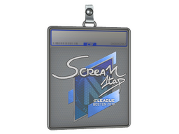 Sticker Slab | ScreaM | Boston 2018