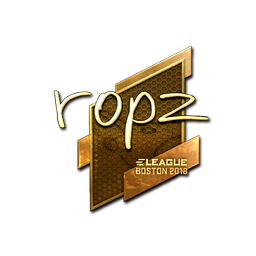 ropz (Gold) | Boston 2018