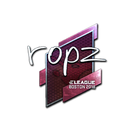 ropz (Foil) | Boston 2018