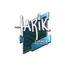 tarik | Boston 2018