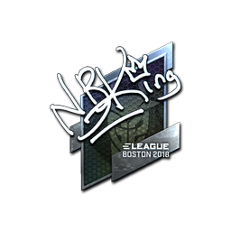 NBK- (Foil) | Boston 2018
