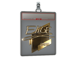 Sticker Slab | EliGE (Gold) | Boston 2018