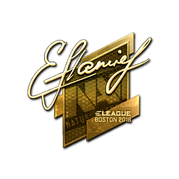 flamie (Gold) | Boston 2018
