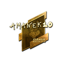 AmaNEk (Gold) | Boston 2018