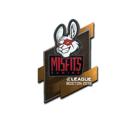 Misfits Gaming | Бостон-2018