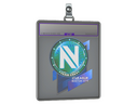 Sticker Slab | Team EnVyUs (Holo) | Boston 2018